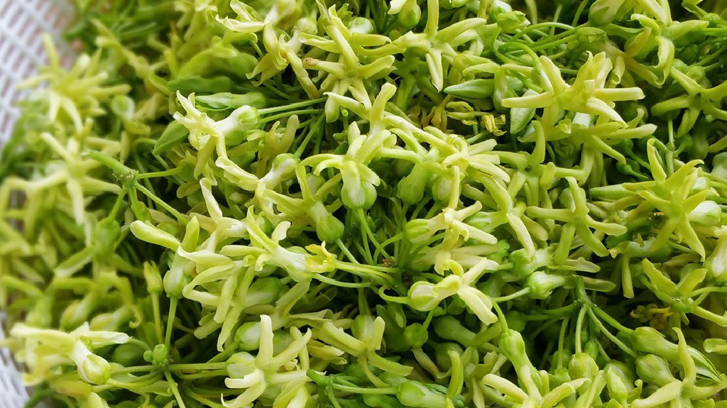 Tổng hợp các món ăn dùng hoa thiên lý làm thuốc chữa bệnh